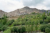 Ladakh - Likir Gompa built on a mountain spur